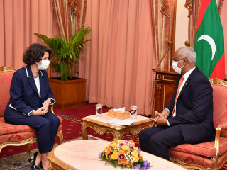 Turkish Ambassador-designate presents credentials to the President