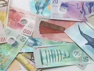 Maldivian currency notes.