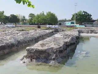 ށ. މިލަންދޫ އިސްލާމިކް ސެންޓަރު ގެ މަސައްކަތް އެކަށީގެންވާ ގޮތަކަށް ކުރިޔަށް ނުދާ ކަމުގެ ކަންބޮޑުވުން އެރަށު ރައްޔިތުން ފާހަގަ ކުރޭ. 