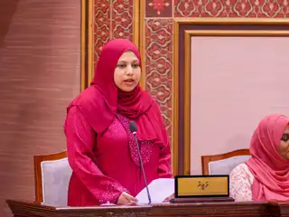  މިނިސްޓަރ އޮފް އާޓްސް، ކަލްޗަރ އެންޑް ހެރިޓޭޖް ހީނާ ވަލީދު މަޖިލީހަށް ހާޒިރުކުރުން