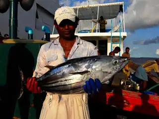 ދިވެހިރާއްޖޭގެ މަސްވެރިއަކު ކަނޑުމަހެއް ހިފައިގެން
