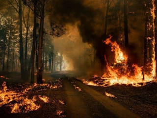 އޮސްޓްރޭލިޔާގެ އަލިފާންގަނޑު: މޫސުމަށް އަންނަ ބަދަލުތަކުގެ ނުރައްކާތެރި ރަނގަބީލެއް!