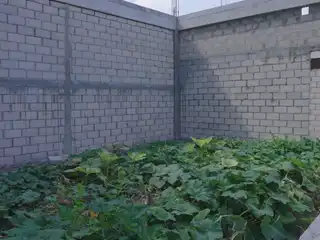 ކެނދިކުޅުދޫ ޖޫނިއަރ ކޮލެޖުގެ މަސައްކަތް ހުއްޓި އިމާރާތުގެ ތެރޭގައި ބަރަބޯ ހައްދާފައި.