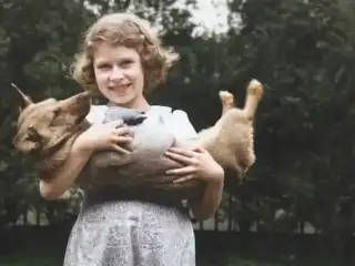 ޖުލައި 1936 ގައި، ލަންޑަންގެ 145 ޕިކަޑިލީގައި ހުންނަ އެކަމަނާގެ ގެކޮޅުގައި، ޕްރިންސަސް އެލިޒަބަތު (ފަހުން ކުއީން އެލިޒަބަތު II) ނަގާފައިވާ ފޮޓޯ އެއް.