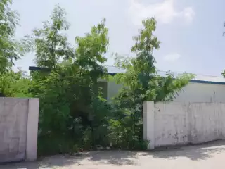 ފީއަލީގައި ކުރީ ސަރުކާރުން އަޅަން ފެށި ފެން ޕްލާންޓު، ވެރިކަން ބަދަލުވުމުން ބޯ ޖަންގައްޔަކަށް 