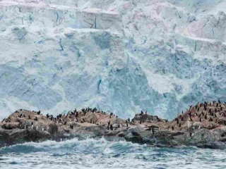 އެންޓާޓިކާ