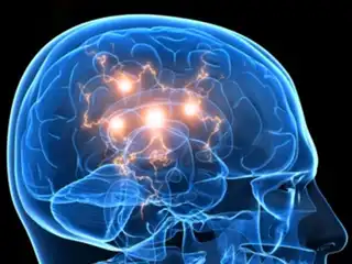 ގަޓް ބެކްޓީރިއާ އަދި ސިކުނޑި