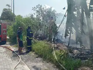 އައްޑޫ ސިޓީ، ހިތަދޫ އަބުހަރީގޭގައި އެއްކޮށްފައި ހުރި ކުނިތަކެއްގައި ރޯވި އަލިފާން