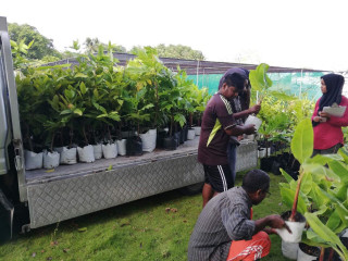 އެގްރޯ ކުންފުނި އުފައްދަވާފައިވަނީ ކޮވިޑްގެ ތެރޭގައި