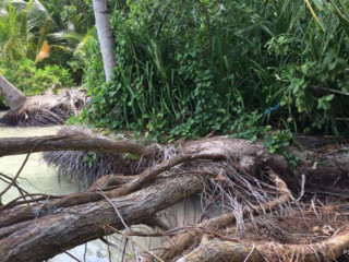 ރަށް ގިރުމުގެ މައްސަލަ: ގެސްޓްހައުސް ވިޔަފާރިއަށް އެކަމުގެ ނޭދެވޭ އަސަރުކުރޭ: މަތިވެރި ކައުންސިލް