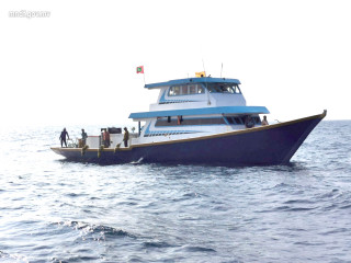 މަސްވެރިކަމަށް ނިކުމެ އުޅޭ ދޯންޏެއް