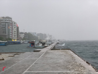 ރާއްޖޭގެ ވައި ނުސާފުވުން