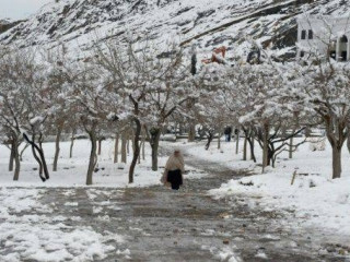 އަފްޣާނިސްތާނާއި، ޕާކިސްތާނަށް ކުރިމަތިވި މޫސުމީ ޙާދިސާތަކުގައި 130 މީހުން މަރުވެއްޖެ