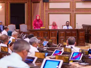  މިނިސްޓަރ އޮފް އާޓްސް، ކަލްޗަރ އެންޑް ހެރިޓޭޖް ހީނާ ވަލީދު މަޖިލީހަށް ހާޒިރުކުރުން