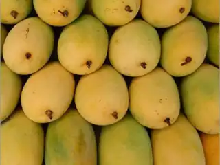 ނީލަމް އަނބު