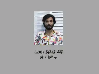 ރޮމޭންސް ސްކޭމުގައި ޖައްސަލައި ފައިސާ ހޯދި މައްސަލައިގައި ހައްޔަރުކުރި މޫސާ މުހައްމަދު.