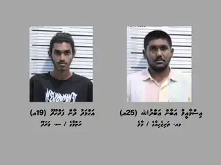 ކަނޑުމަގުން ރާއްޖެއަށް މަސްތުވާތަކެތި އެތެރެކުރި ކަމުގެ ތުހުމަތުގައި ހައްޔަރު ކުރި 2 މީހުން.