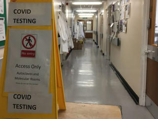 ޖޫން 1 ން ފެށިގެން އިނގިރޭސިވިލާތުގައި އެންޓިބޮޑީ ޓެސްޓް ހަދަން ފަށަނީ