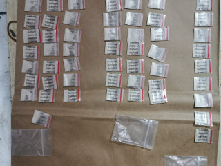 މީގެ ކުރިން ޕޮލިސް ސްޓޭޝަނުން ހިންގި އޮޕަރޭޝަނެއްގައި ހޯދާފައިވާ މަސްތުވާތަކެތި