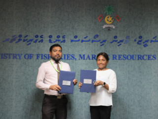The Ministry of Fisheries Marine Resources and Agriculture has launched an agriculture program called "Maldives Agribusiness Program"