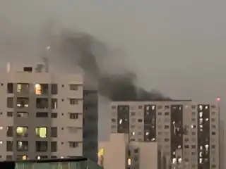 އަލިފާނުގެ ހާދިސާގެ ސަބަބުން މައި ފާހާނާ ހޮޅިއަށް ބޮޑެތި ގެއްލުންތަކެއް؛ ބައެއް އެޕާޓްމަންޓްތަކުގެ ފާހާނާ ބޭނުން ނުކުރެވޭ