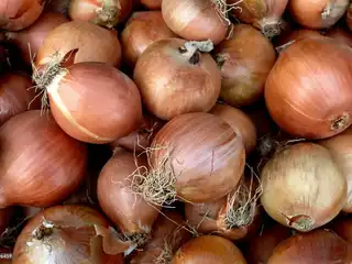 ކާބޯތަކެއްޗާއި އިމާރާތްކުރުމަށް ބޭނުންވާ ތަކެތި ރާއްޖެއަށް އެކްސްޕޯޓްކުރުމުގެ ހުއްދަ އިންޑިއާއިން 2027 އާ ހަމައަށް އިތުރުކޮށްފި