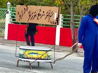 އަޟްހާ އީދާ ގުޅިގެން ކޮންމެ އަހަރަކު ވެސް ކުޅުދުއްފުށިން ނެރޭ ''މަށިމާލި ޕެރޭޑުން'' ވަނީ ކަރަންޓު ރަހަލާ މަސްދަޅު ފެނިފައި.