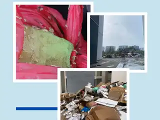 "ގެދޮރުވެރިޔާ ފްލެޓް" ސަރަހައްދު ގޮނޑުވެފައި 