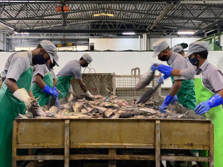 Authorities are working to trace and control a worryingly large Covid-19 cluster detected in Felivaru industrial island of Lhaviyani atoll