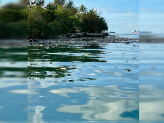 ތިލަފުށި ފަޅު ތެރެއަށް ކުނި އެޅިފައި ވަނިކޮށް