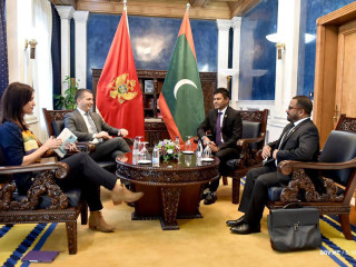 Vice President meets with First Deputy Prime Minister of Montenegro