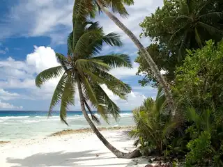 ޗާގޯސް އަށް ވަޒަންވެރިވާން ދިޔަ މީހުން ބޭރުކުރުން ކޯޓު އަމުރަކުން ހުއްޓުވައިފި