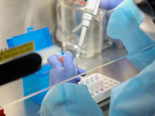 ކޮވޮޑް-19 އަށް ޓެސްޓު ކުރުމުގެ މަރުހަލާގެ ތެރެއިން