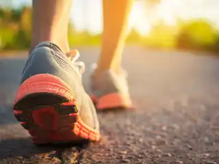 ޤަދީމީ ސަގާފަތްތަކުން އައިސްފައިވާ ފަހަތައް ހިނގުމަކީ ސިކުނޑިއާއި ހަށިގަނޑަށް ވެސް ފާހަގަކޮށްލެވޭ ރަނގަޅު އަސަރުތަކެއް ކުރާ ކަމެއް ކަން ޒަމާނީ ސައިންސުންވެސް ވަނީ ދެނެގަނެފައި.