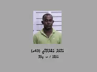 ޑައިމޯފިން ޓްރެފިކްކުރުމުގެ ކުށް ސާބިތުވެ، ނ. މިލަދޫ / އަލަމާގެ، އަޙްމަދު ޢަބްދުލްހާދީ (43އ) 25 އަހަރަށް ޖަލަށްލުން