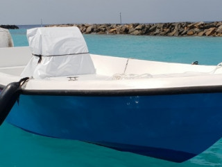 ނަސްރުﷲ މަސްބާނަން ނިކުތް ޑިންގީ