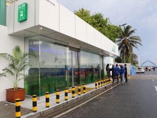 ސްޓެލްކޯގެ ގްރީންލައިފް ބަސްސޮޓްޕް