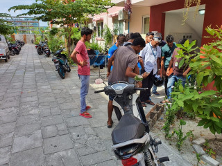 Housing ministry launches extermination work for termite infestation in Hulhumale\' flats