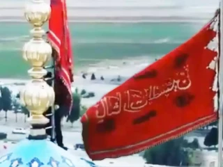 އިރާނުގެ މިސްކިތުގައި ނަގާފައިވާ ރަތް ދިދަ