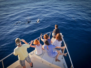 ފަތުރުވެރިންތަކެއް އެކްސަކަރޝަންގައި