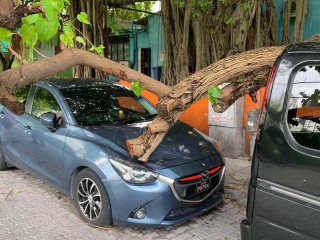 ވައިގަވުމުން ކާރު މައްޗަށް ގަސްވެއްޓިފައި