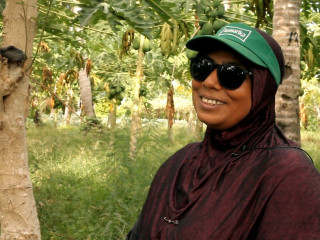 ހިތްތައް އަތުލި ތޮއްޑޫ ބަނޑިޔާ!