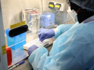 ކޮވިޑް-19 އަށް ސާމްޕަލް ޓެސްޓްކުރަނީ