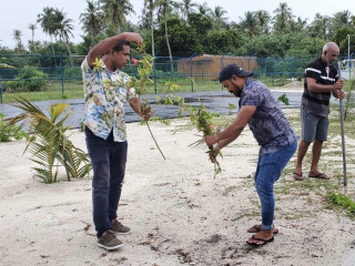 މާވަރުލު އެއަރޕޯޓުގައި ކުރިއަށްގެންދިޔަ ގަސް އިންދުމުގެ ހަރަކާތުގެ ތެރެއިން