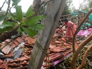 ޠޫފާން ބުލްބުލްގައި ގިނަ ގަސްތަކެއް ވެއްޓި ގެއްލުންވި