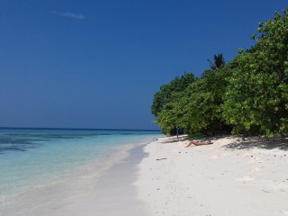 އއ. ރަސްދޫ