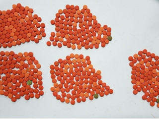 ބަންގަލަދޭޝް އިން ރާއްޖެ އައި މީހާގެ ލަގޭޖުން ފެނުނު މަސްތުވާތަކެތި