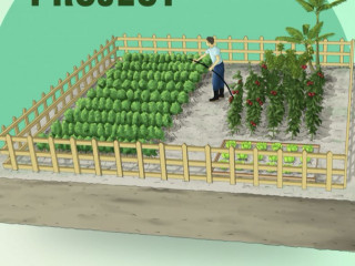 ހުޅުމާލެ، \"ކޮމިއުނިޓީ އަރބަން ފަރމިންގ\" ޕްރޮޖެކްޓްގެ ކުރެހުމެއް