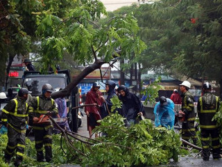 ގިނައަދަދެއްގެ ގަސްތައް ބިންމައްޗަށް ވެއްޓުމުގެ ސަބަބުން ބެހާއީ ސިޓީގައި ވަނީ އެއްގަމުގެ ދަތުރުފަތުރަށް ބުރޫއަރާފަ