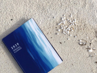 މޫދު ވައިބްސްގެ 2020 ވަނަ އަހަރުގެ ޕަރސަނަލް ޕްލޭނަރ